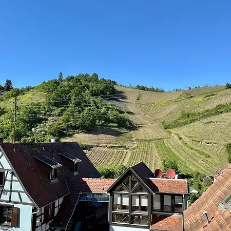 Maison 1650 Renovee Vue Vignes 8 Pers Alsace Prázdninový dům