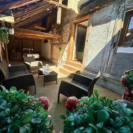 Maison 1650 Renovee Vue Vignes 8 Pers Alsace Niedermorschwihr